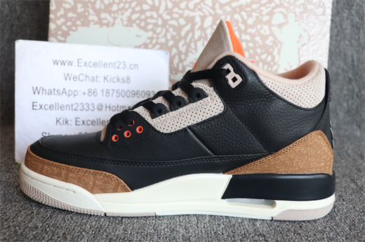Nike Air Jordan 3 Desert Elephant