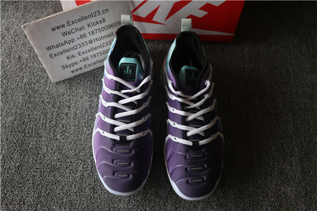 Nike Air Vapormax Plus TN 064