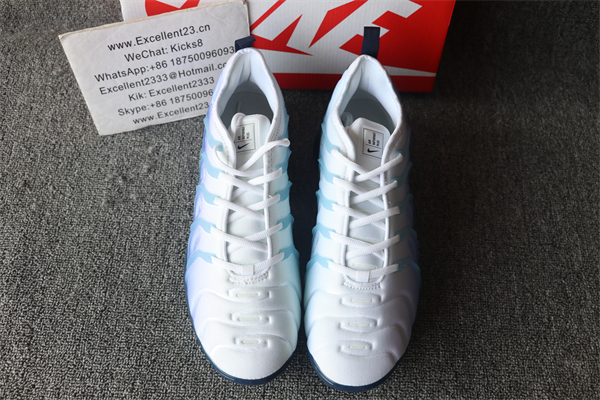 NikNike Air Vapormax Plus TN 079