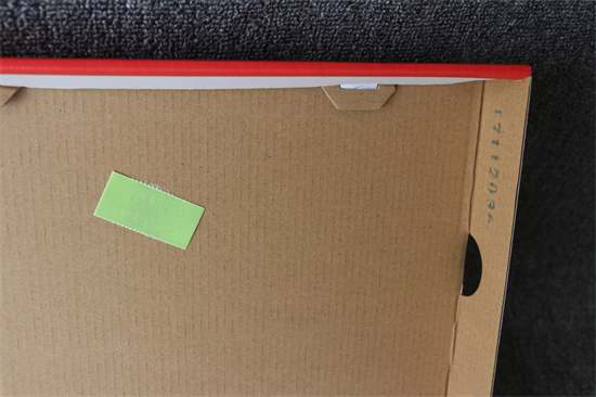 Nike SB DUNK Low White Green