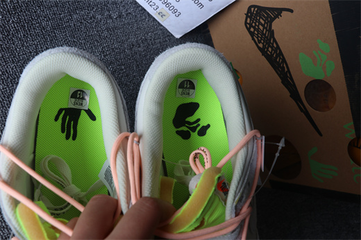 Off White x Futura x SB Dunk No.40