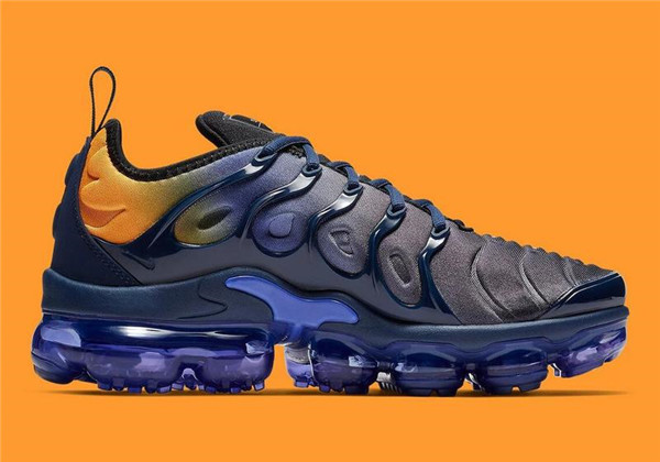 Nike Air Vapormax Plus TN 083