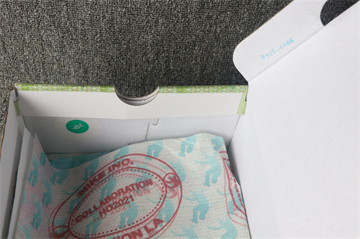 Union x Nike SB DUNK Low