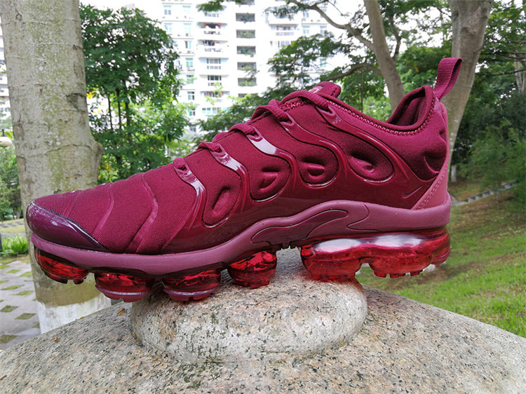2018 Nike Air Vapormax Plus TN 030