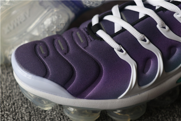 Nike Air Vapormax Plus TN 064