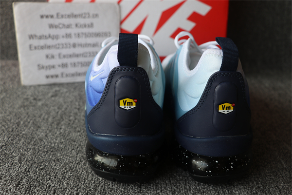 NikNike Air Vapormax Plus TN 079