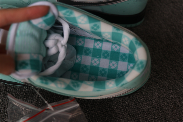 Tiffany x nike SB DUNK