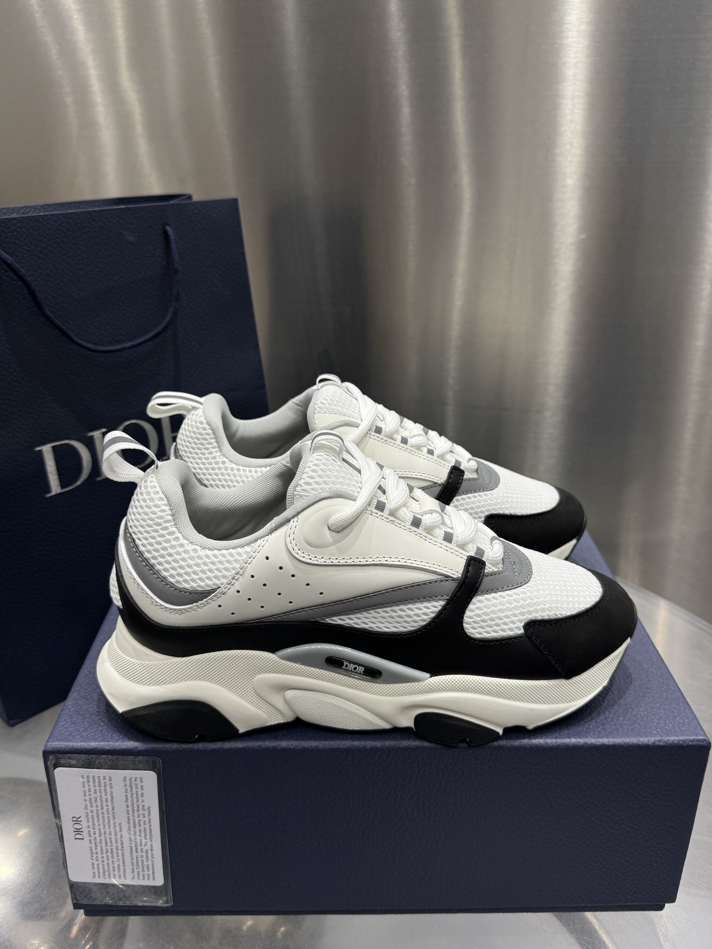 Dior B22 Sport shoes