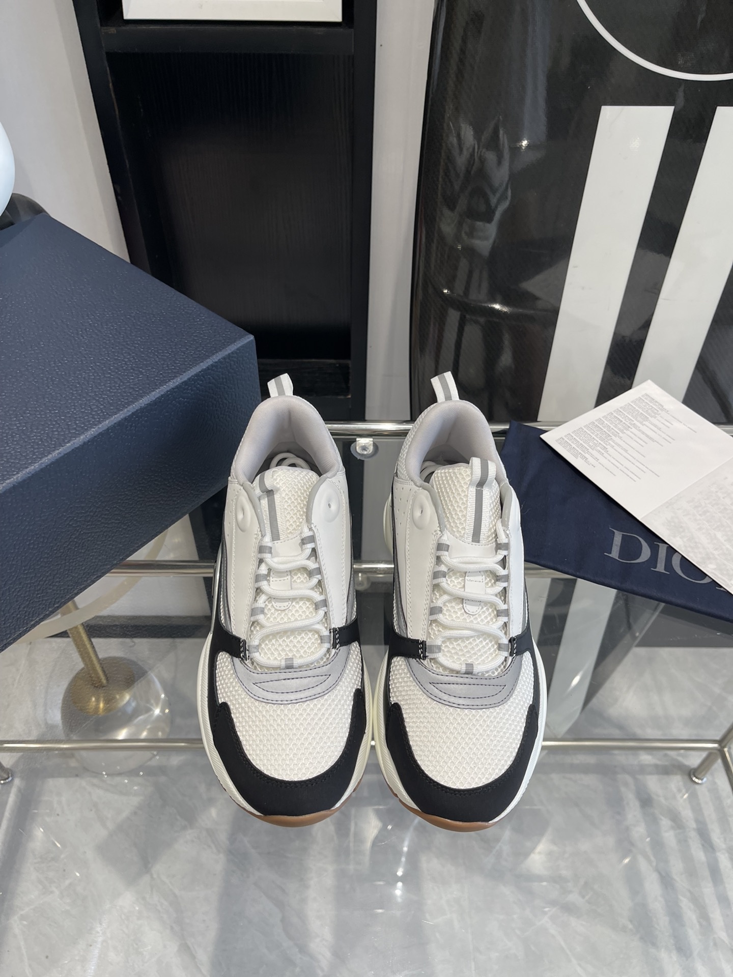 Dior B22 Sport shoes