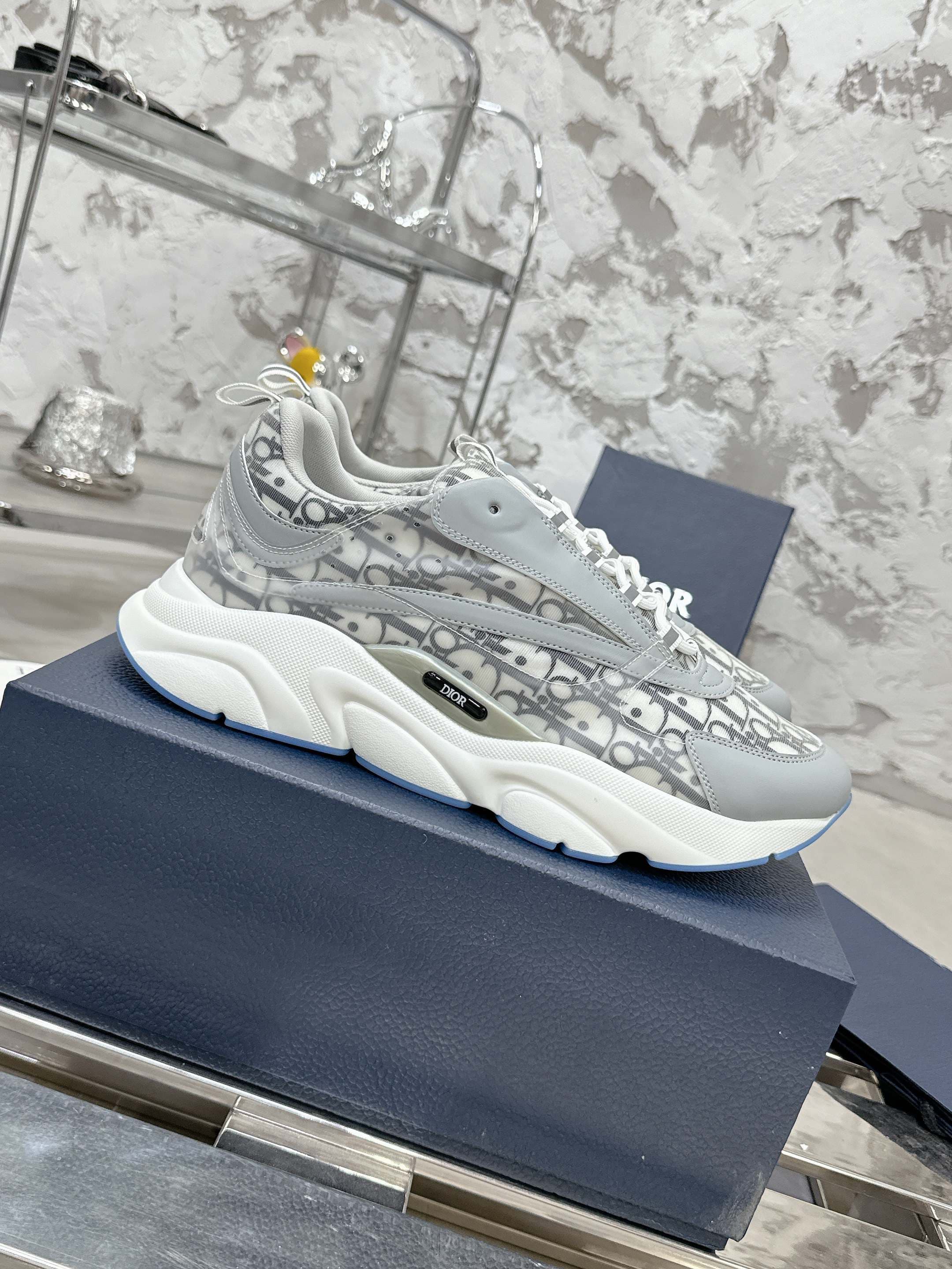 Dior B22 Sport shoes
