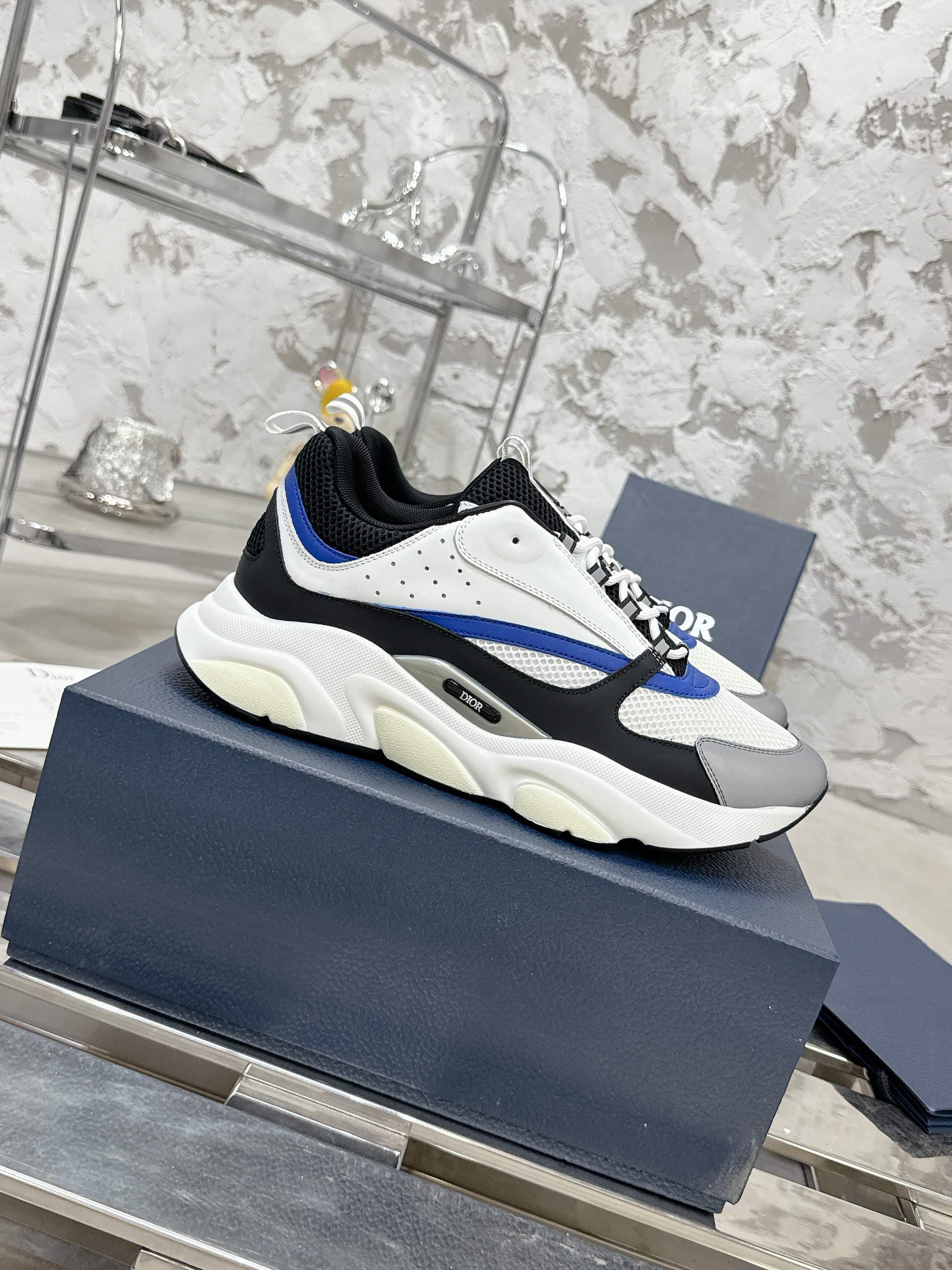 Dior B22 Sport shoes