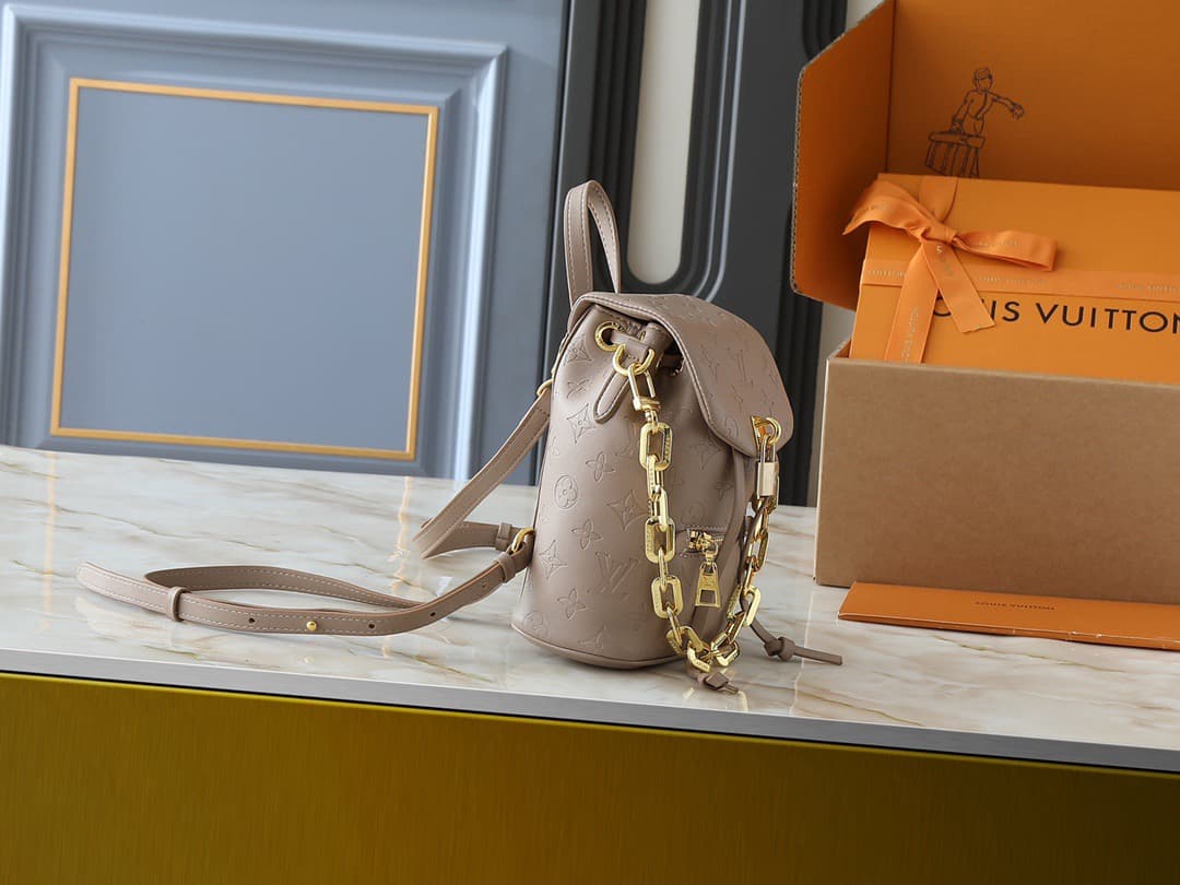 LV Backpack (DM For Price）