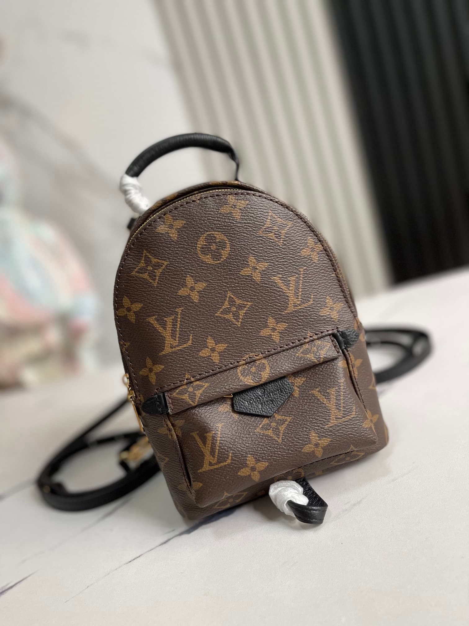 LV Backpack M44873(DM For Price）