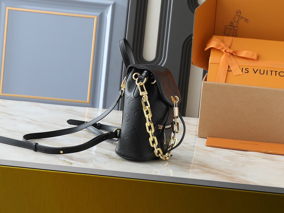 LV Backpack (DM For Price）