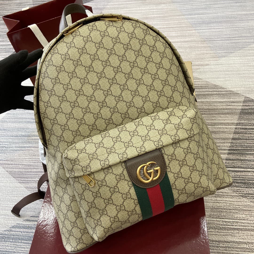 Gucci Backpack 834466(DM For Price）