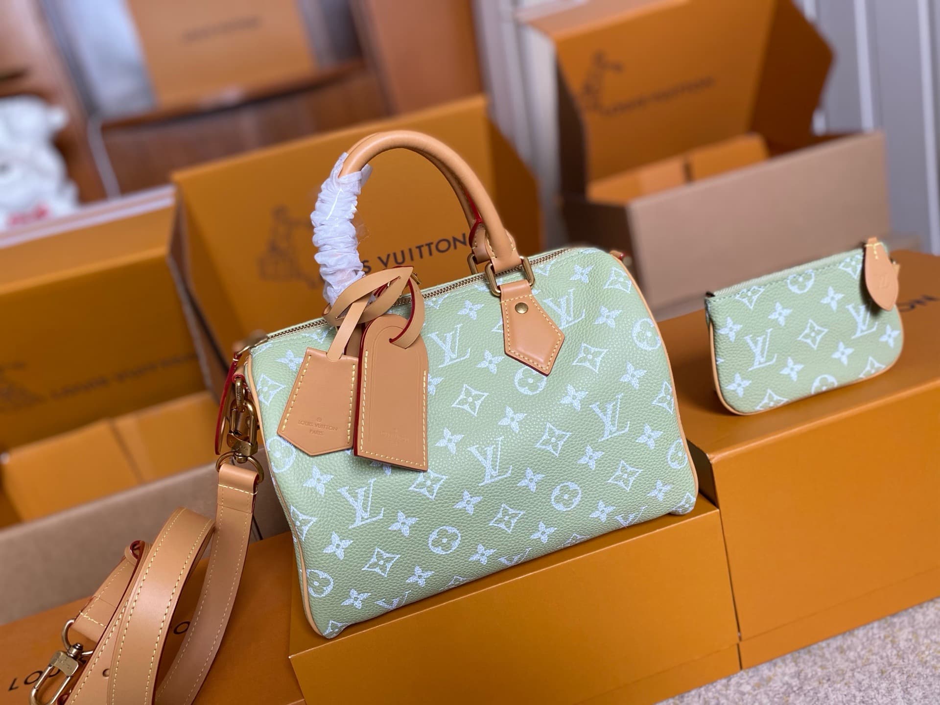 LV Carryall HandBag