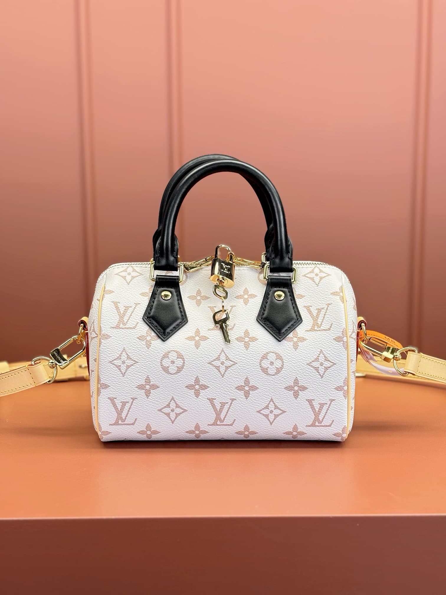 LV Carryall HandBag