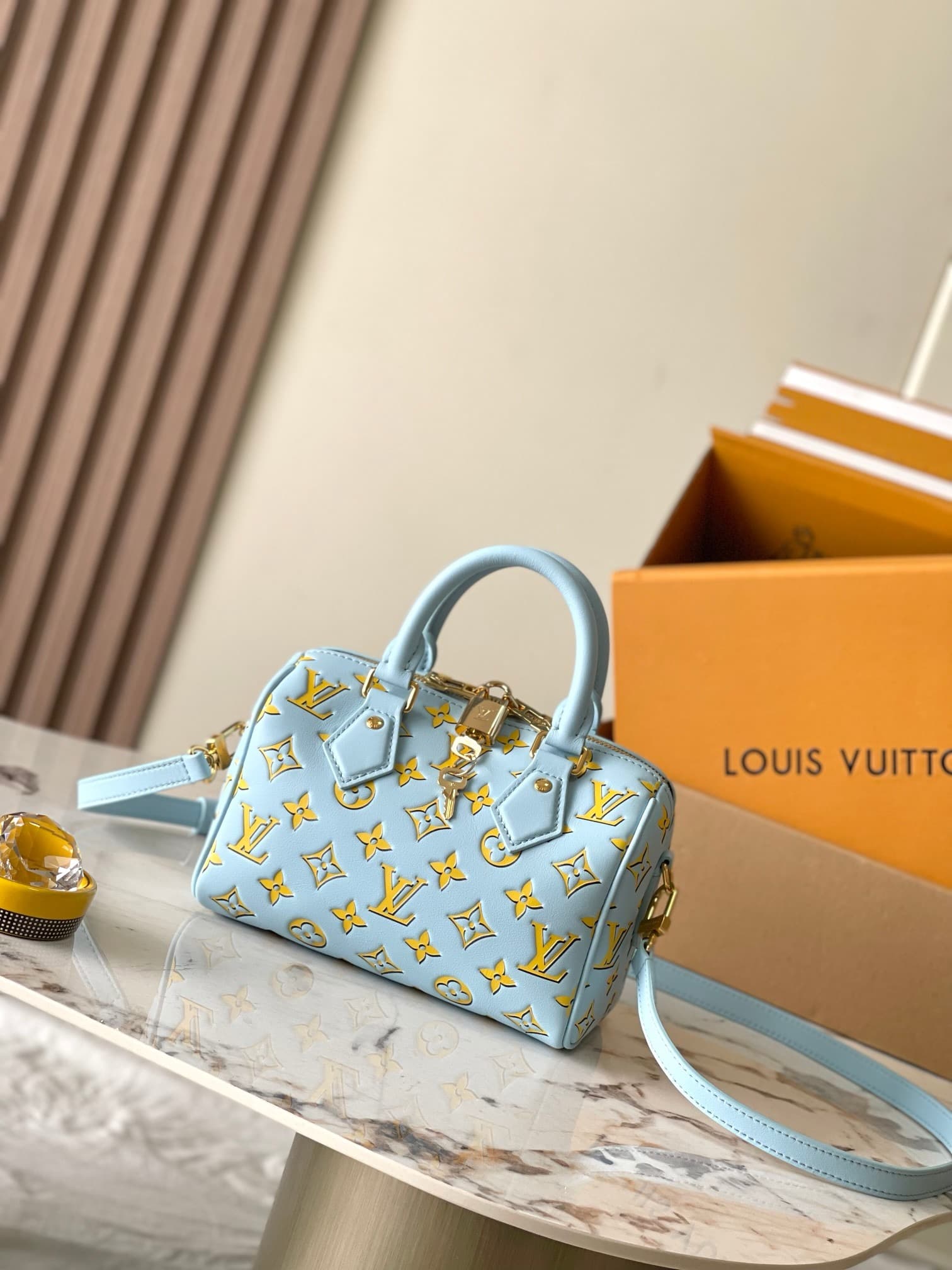 LV Bag Speedy 20 M25454