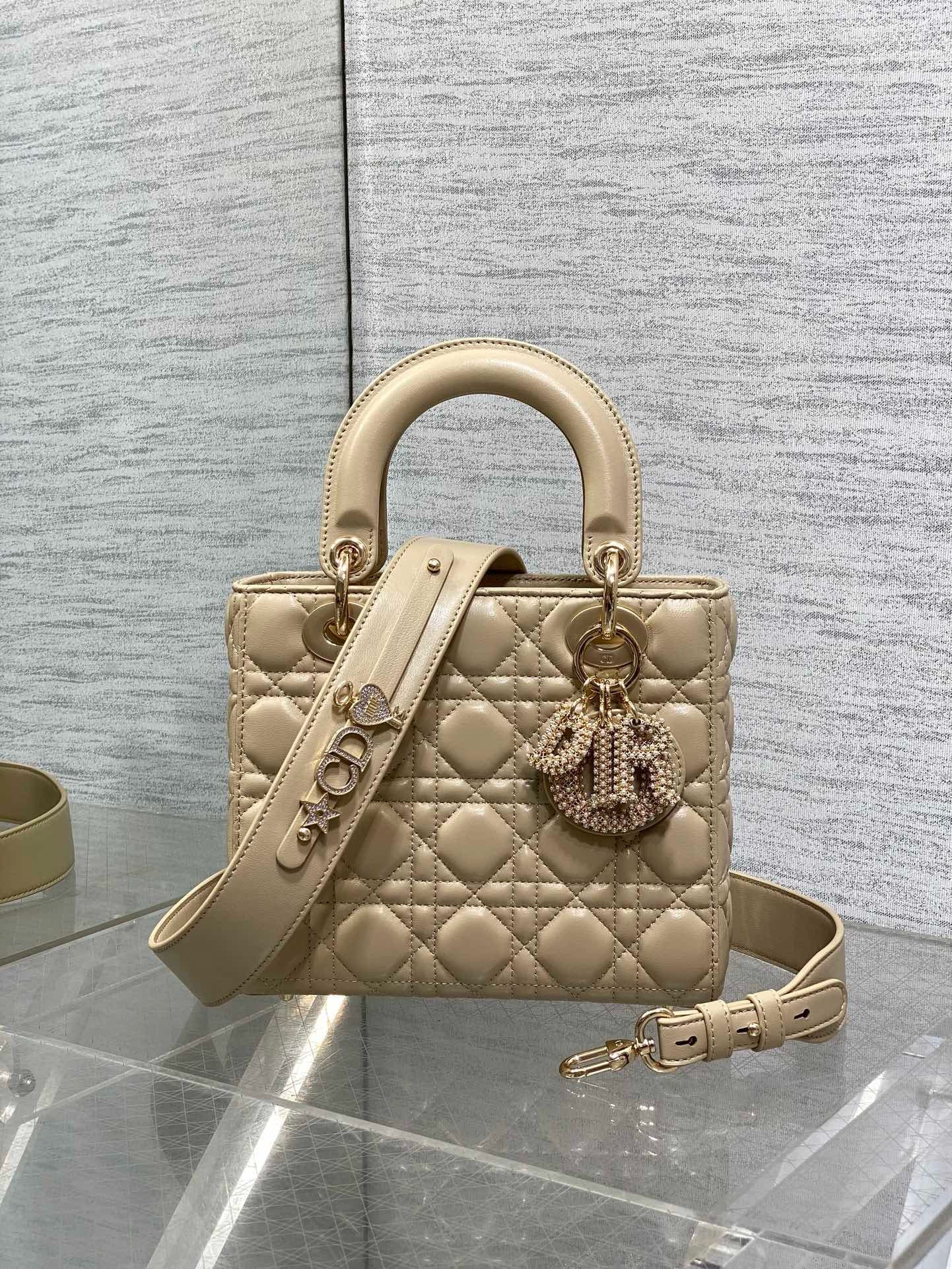Dior Lady HandBag