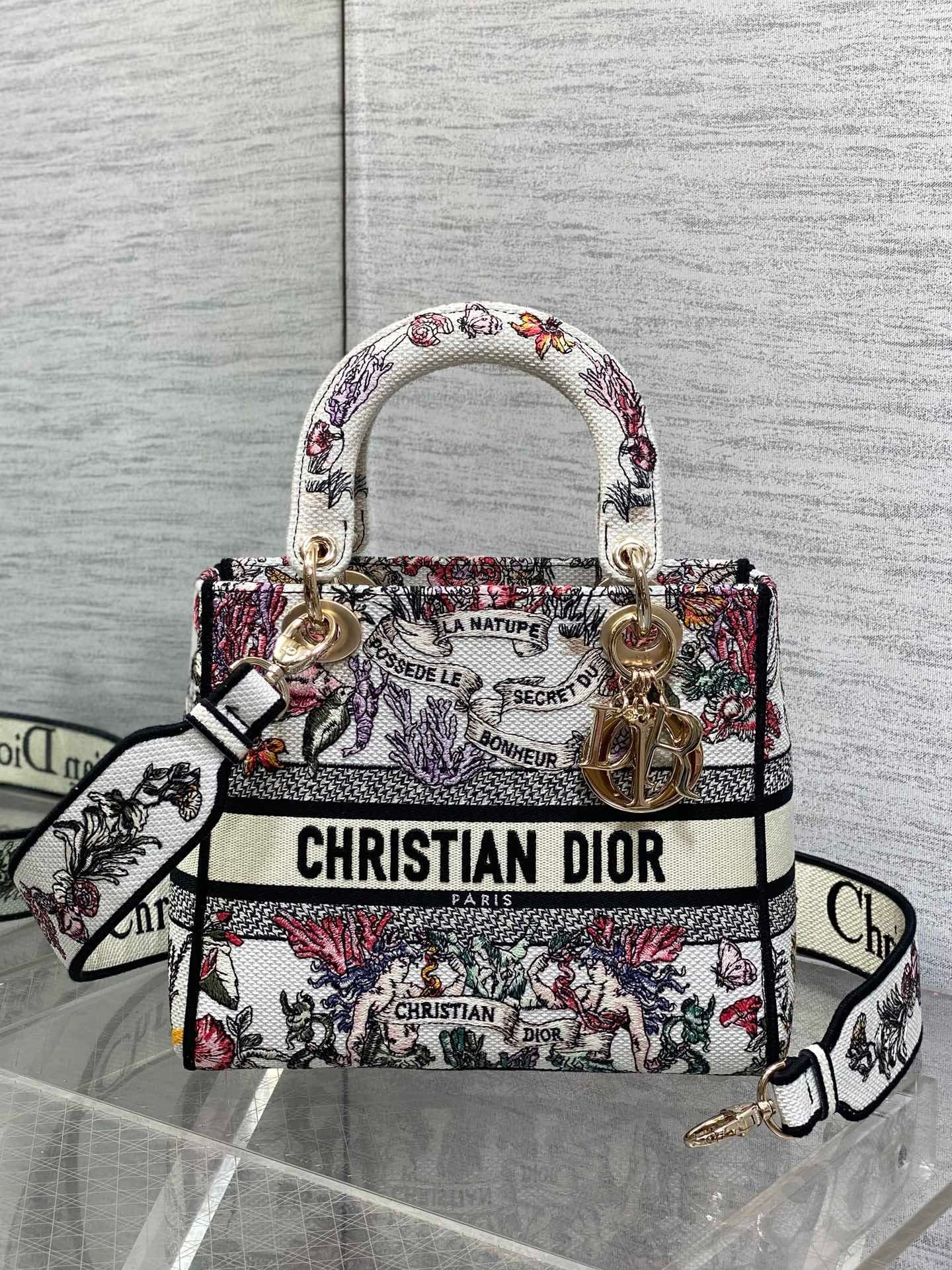 Dior Lady HandBag