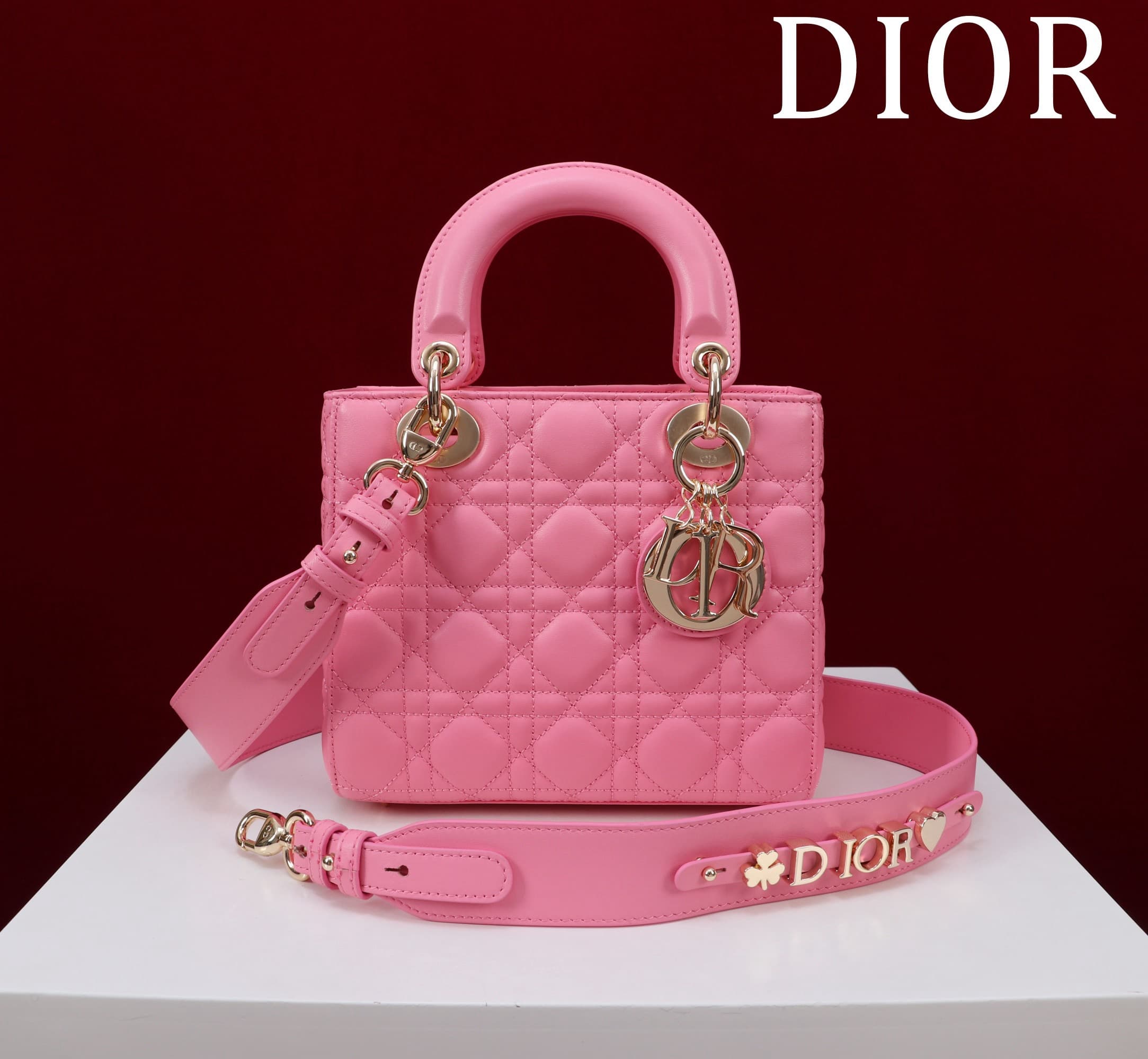 Dior Lady HandBag