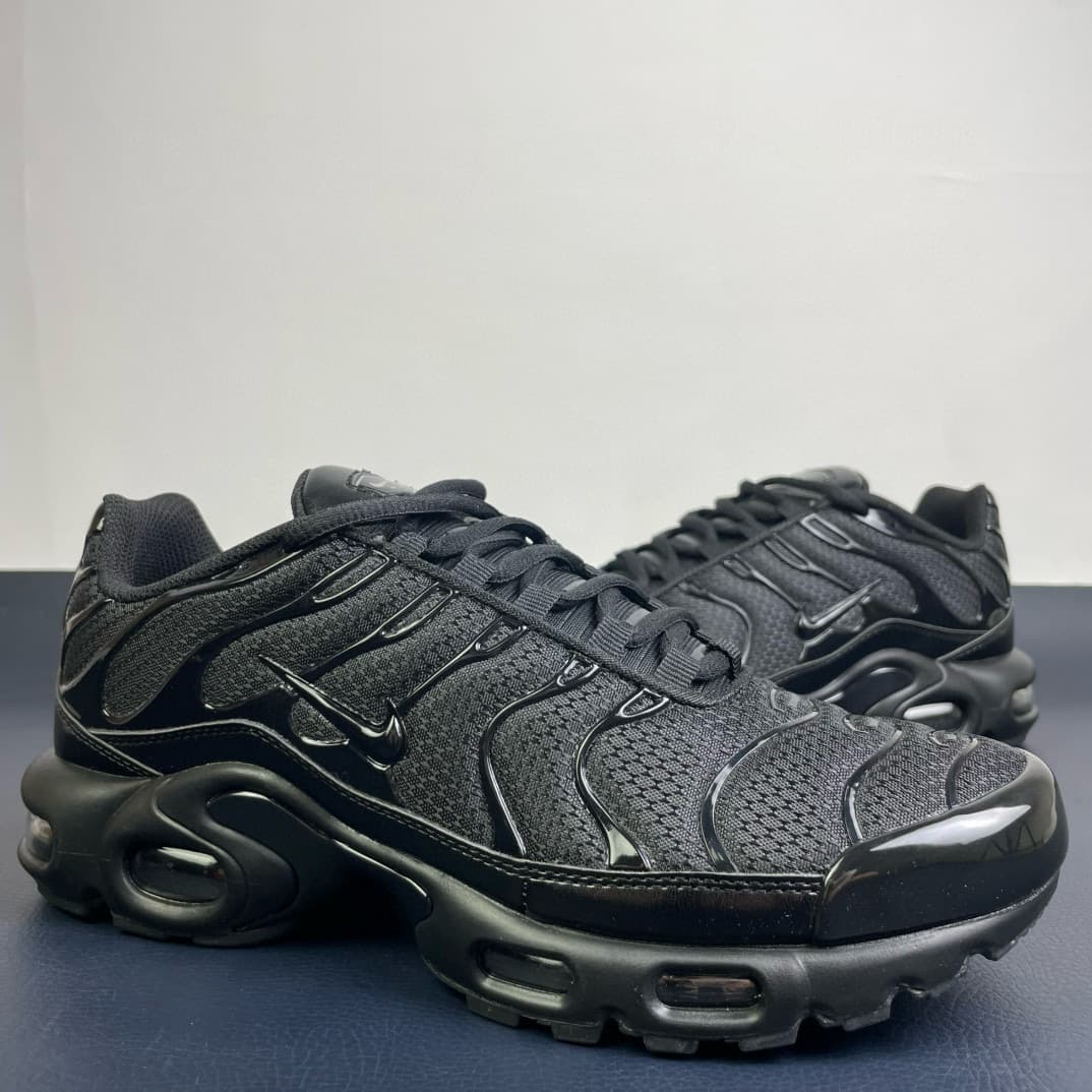 Nike Air Max Plus