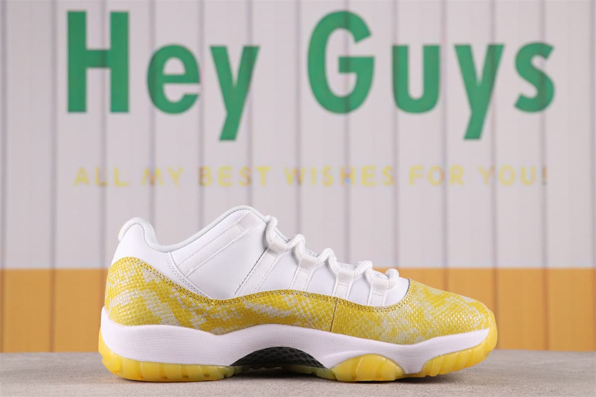 Nike Air Jordan 11 Low